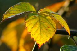 A héten is marad a melegebb idő