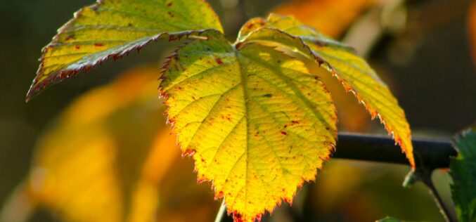 A héten is marad a melegebb idő