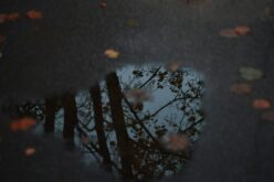 Ingadozó hőmérséklet, csapadék várható