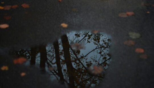 Ingadozó hőmérséklet, csapadék várható