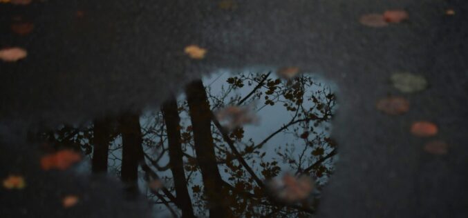 Ingadozó hőmérséklet, csapadék várható