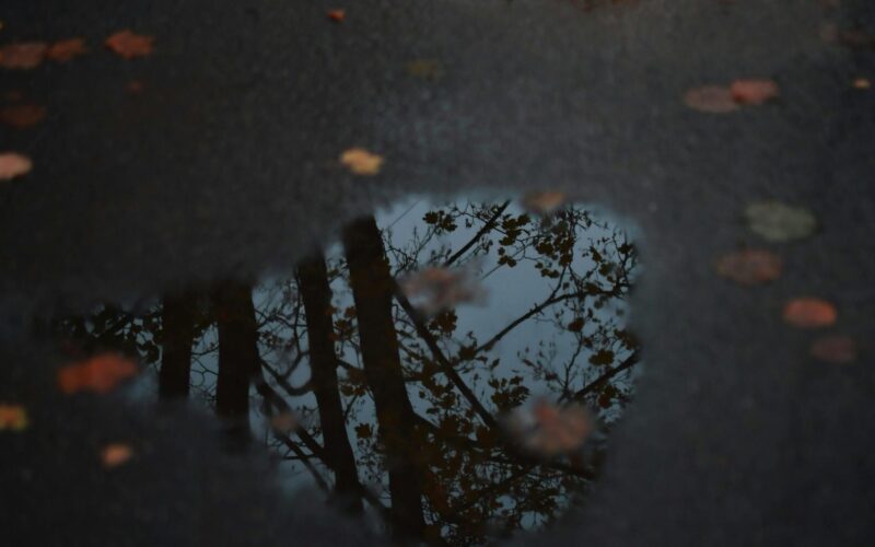 Ingadozó hőmérséklet, csapadék várható