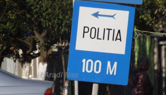 A lippai rendőrőrsön kezdte püfölni élettársát