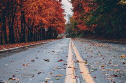 Ingadozó hőmérséklet, a fagy még kivár