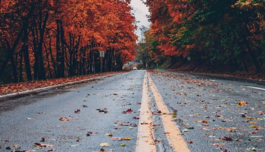 Ingadozó hőmérséklet, a fagy még kivár