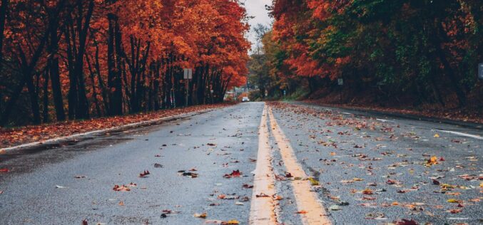Ingadozó hőmérséklet, a fagy még kivár