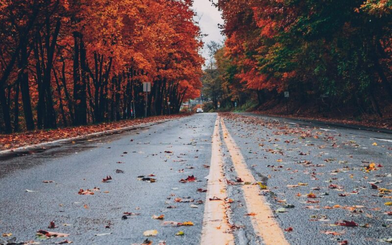 Ingadozó hőmérséklet, a fagy még kivár