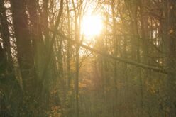 Felmelegedés várható