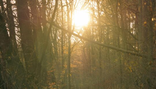 Felmelegedés várható