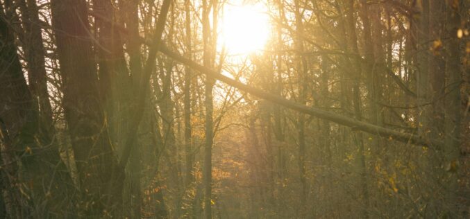 Felmelegedés várható