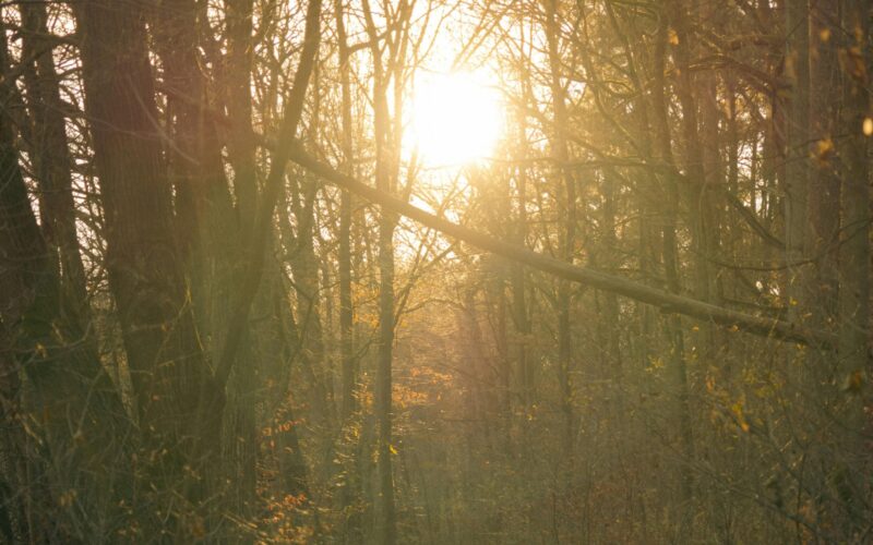 Felmelegedés várható