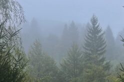 Mától fogy a sötétség