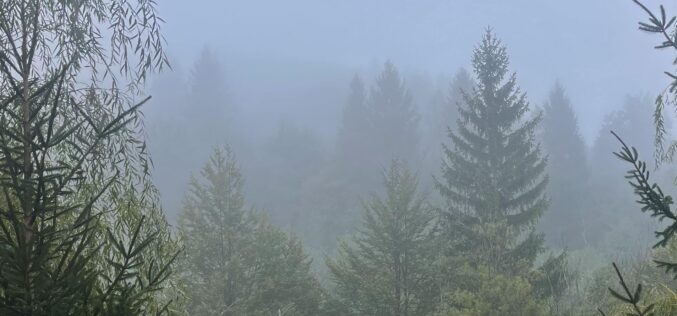 Mától fogy a sötétség