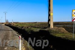 Európa legnagyobb napelem parkja épül Arad megyében