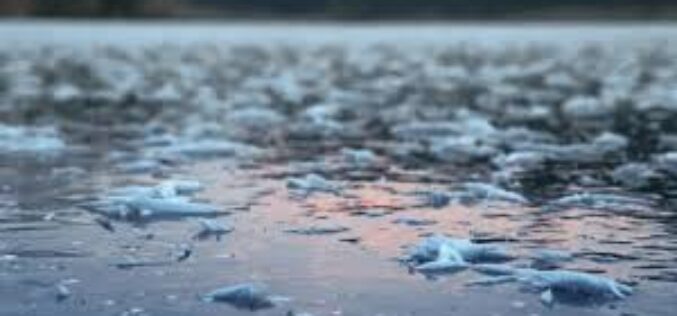 Árvízkészültség Arad megyében is