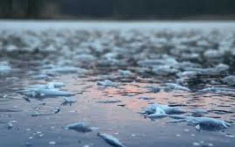 Árvízkészültség Arad megyében is