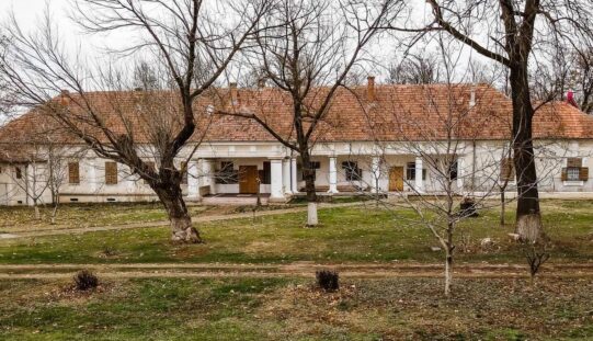 Új tulajdonost keres a doroszlófalvi kastély