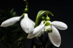 Átlag feletti hőmérséklet várható