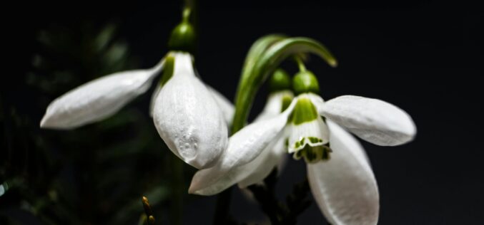 Átlag feletti hőmérséklet várható