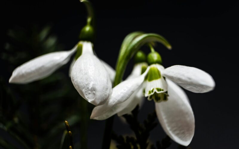 Átlag feletti hőmérséklet várható