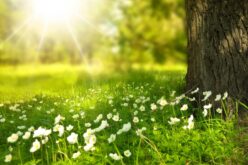 A sokévi átlagnál melegebb napok következnek