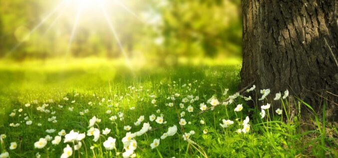 A sokévi átlagnál melegebb napok következnek