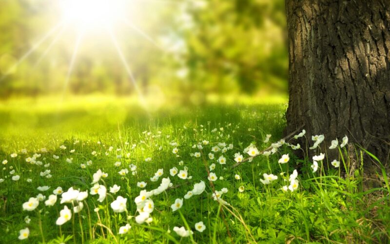 A sokévi átlagnál melegebb napok következnek