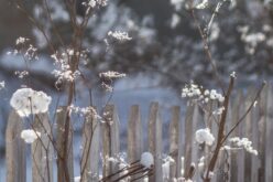 Változékonyság, ingadozó hőmérséklet