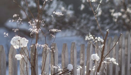 Változékonyság, ingadozó hőmérséklet