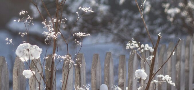 Változékonyság, ingadozó hőmérséklet