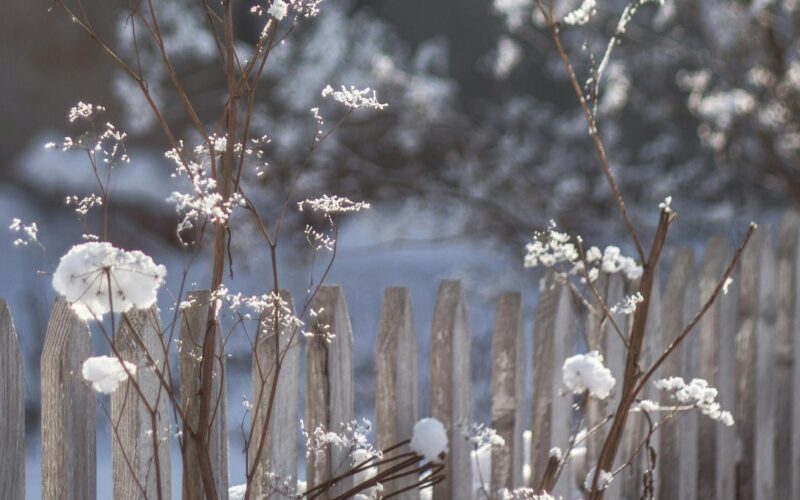 Változékonyság, ingadozó hőmérséklet