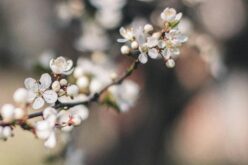 Felmelegedés, kevés csapadék