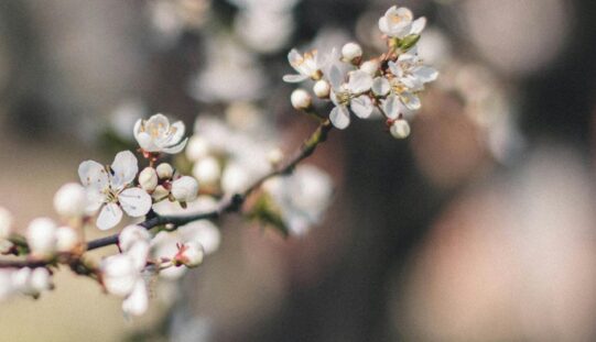 Felmelegedés, kevés csapadék