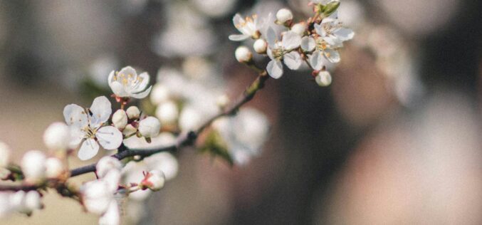 Felmelegedés, kevés csapadék