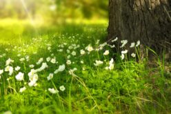 Ingadozó hőmérséklet esővel
