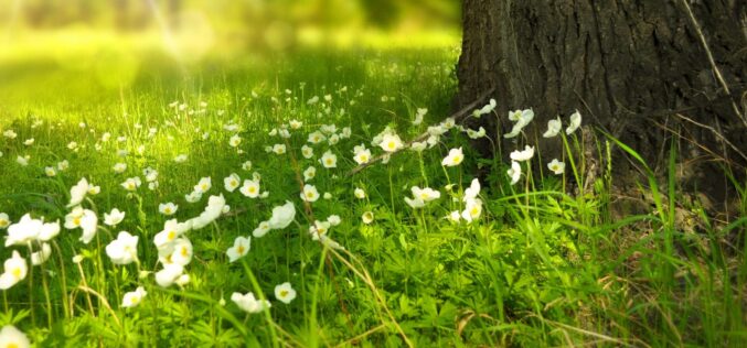Ingadozó hőmérséklet esővel