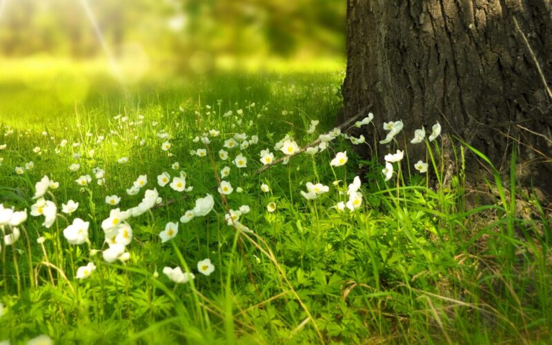 Ingadozó hőmérséklet esővel