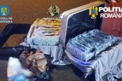 Két bőröndben 31 kg kannabisz