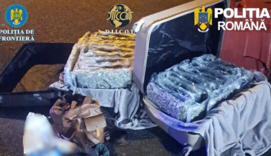 Két bőröndben 31 kg kannabisz