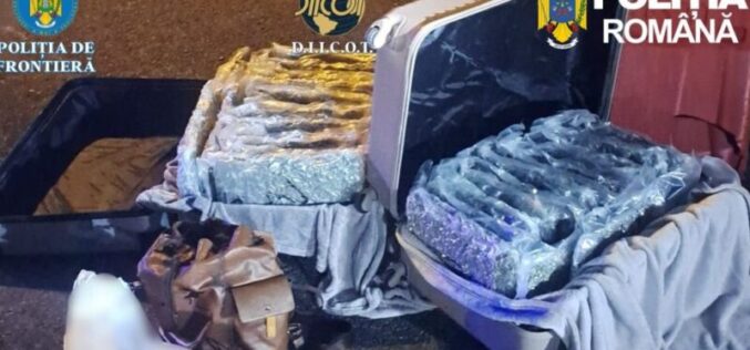 Két bőröndben 31 kg kannabisz