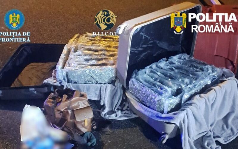 Két bőröndben 31 kg kannabisz