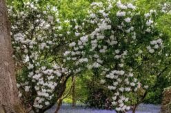 Hullámzó időjárás: felmelegedés után lehűlés