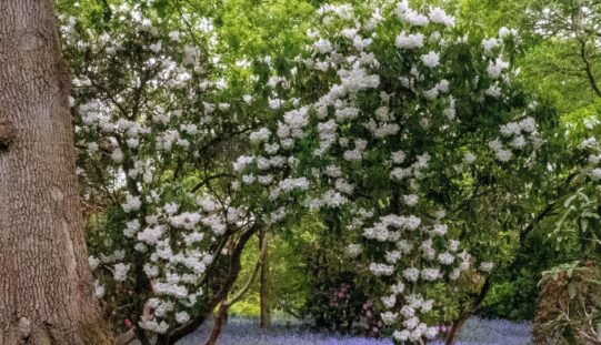 Hullámzó időjárás: felmelegedés után lehűlés