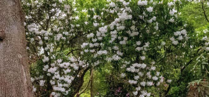 Hullámzó időjárás: felmelegedés után lehűlés