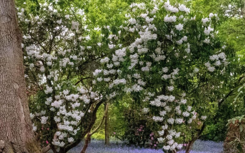 Hullámzó időjárás: felmelegedés után lehűlés