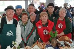 Csak a szokásos: újabb díj Pécska-Tornya csapatának