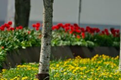 Így alakul az időjárás a héten