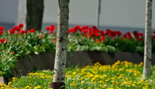 Így alakul az időjárás a héten