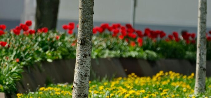 Így alakul az időjárás a héten