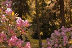 Lehűlés a hónap végéig